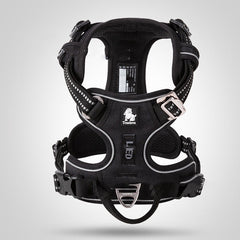 GloStrip™ | Dog Harness