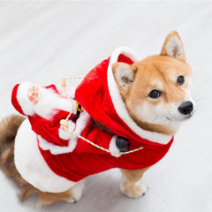 Zyloft™ | Christmas Dog Santa Cloth costume