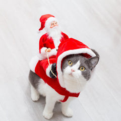 Zyloft™ | Christmas Dog Santa Cloth costume